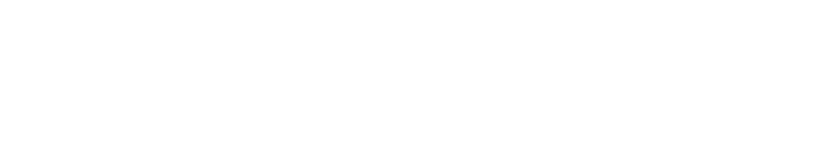 D&D 5e HP Calculator